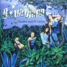 B'witched - Awake And Breathe