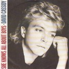David Cassidy - She Knows All About Boys