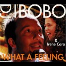Dj Bobo & Irene Cara - What A Feeling