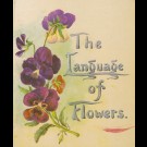 Margaret Pickston - Language Of Flowers