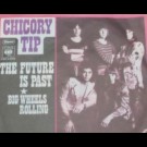 Chicory Tip - The Future Is Past
