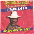 James Lloyd And The Original Dutch Rythm Steel & Show Band - Limbo La La