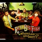 Reel Big Fish - Where Have You Been?