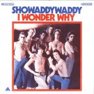 Showaddywaddy - I Wonder Why