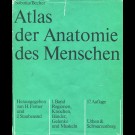 Sobotta / Becher - Atlas Der Anatomie Des Menschen 1. Band - Regionen, Knochen, Bänder, Gelenke Und Muskeln