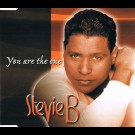 Stevie B. - You Are The One
