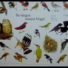 Various - So Singen Unsere Vögel